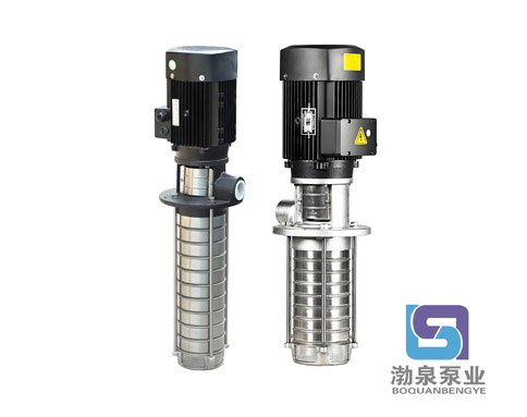 CDLKF4-20/2|浸入式多級離心泵