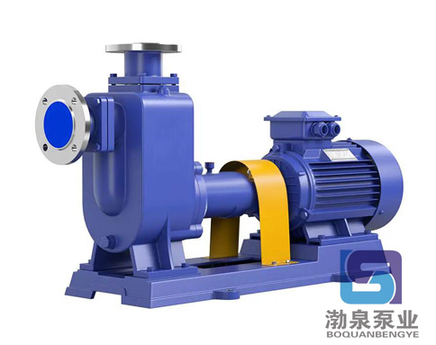 ZW100-80-80_耐酸堿化工自吸排污泵